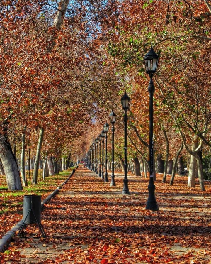 Bed & Breakfast Lastarria Santiago del Cile